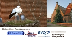 Storchencam in 29362 Hohne